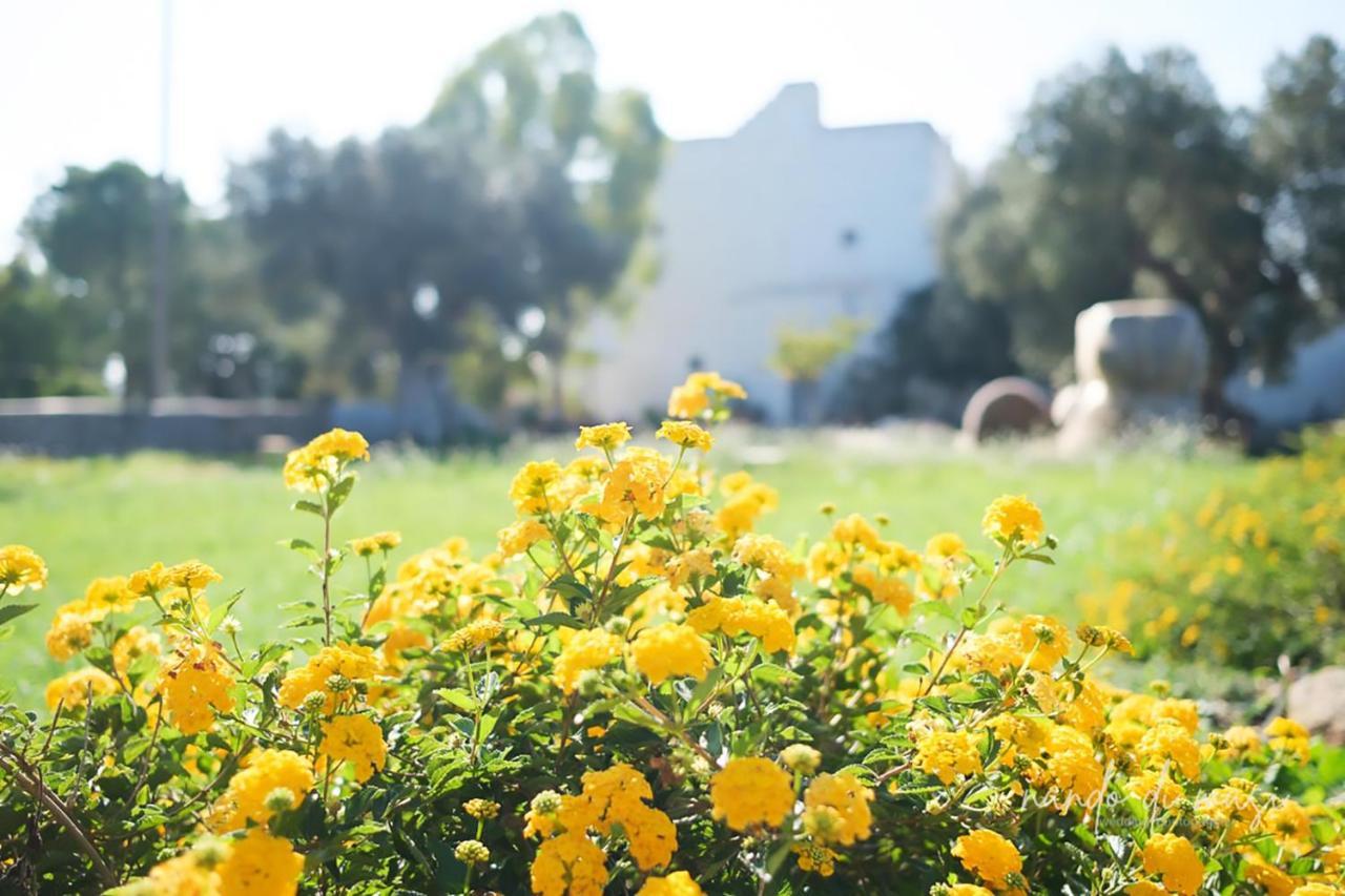 Rooms Masseria Giangrande โปลีญาโนอามาเร ภายนอก รูปภาพ