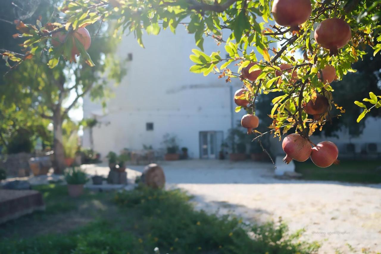 Rooms Masseria Giangrande โปลีญาโนอามาเร ภายนอก รูปภาพ