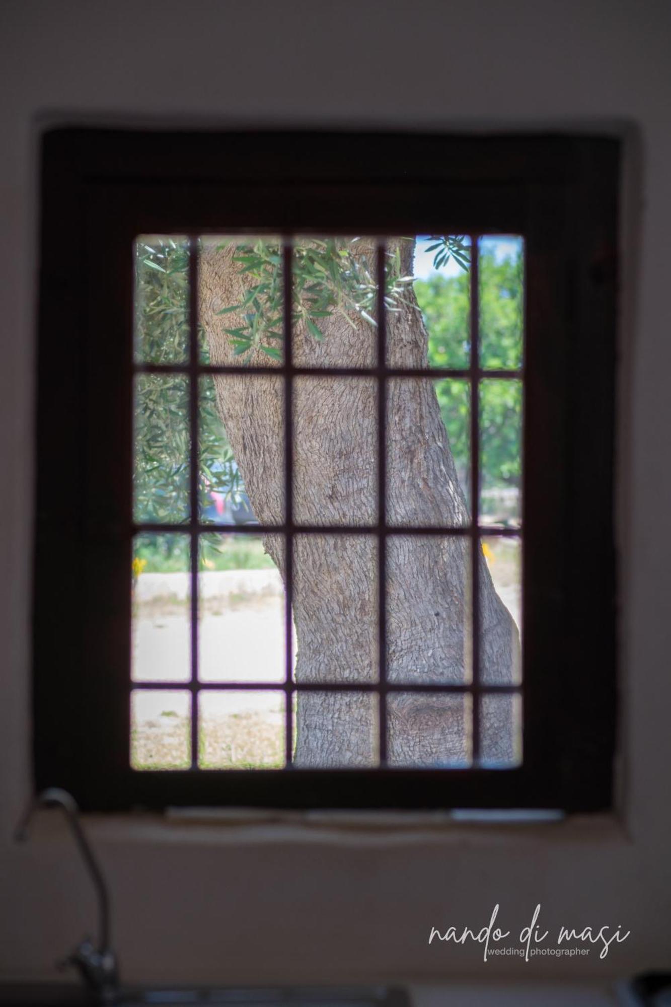Rooms Masseria Giangrande โปลีญาโนอามาเร ภายนอก รูปภาพ