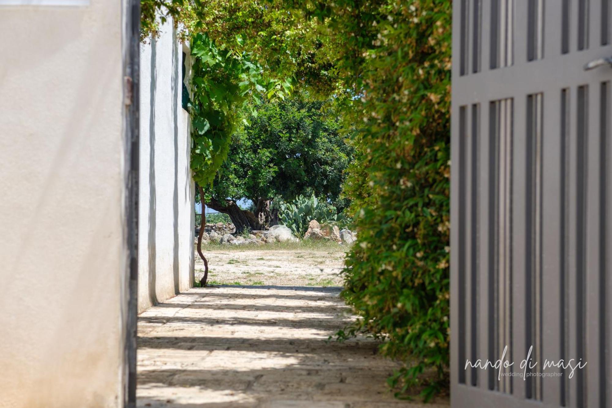 Rooms Masseria Giangrande โปลีญาโนอามาเร ภายนอก รูปภาพ