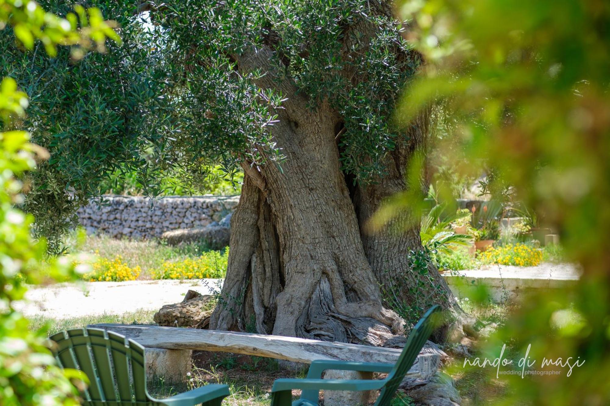 Rooms Masseria Giangrande โปลีญาโนอามาเร ภายนอก รูปภาพ