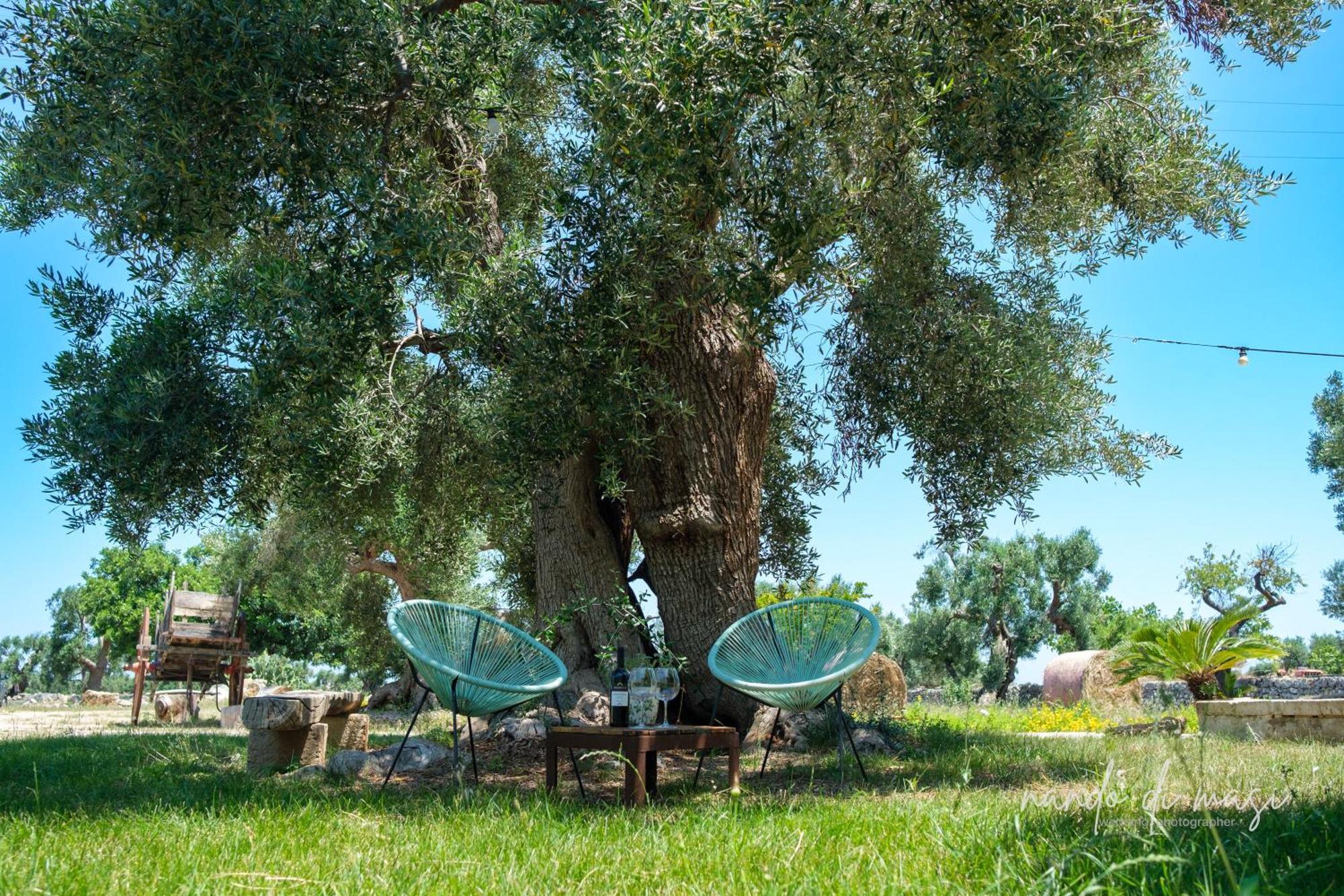 Rooms Masseria Giangrande โปลีญาโนอามาเร ภายนอก รูปภาพ